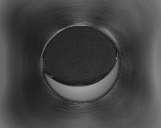 X0000095951276200801111342