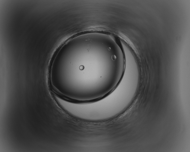 X0000095951277200801111342