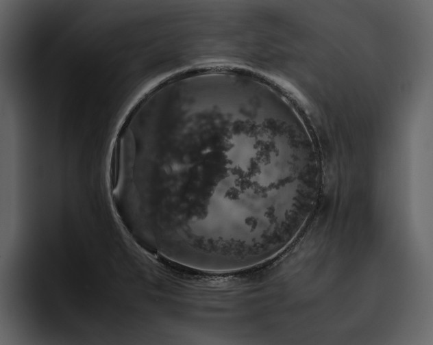 X0000095951279200801111342