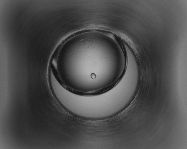 X0000095951280200801111342