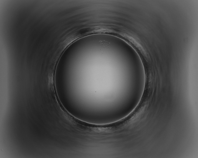 X0000095951281200801111342