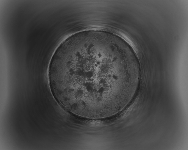 X0000095951283200801111342