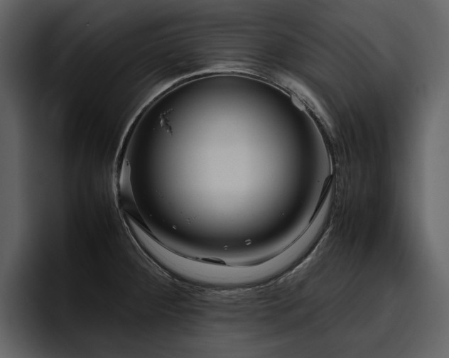 X0000095951284200801111342