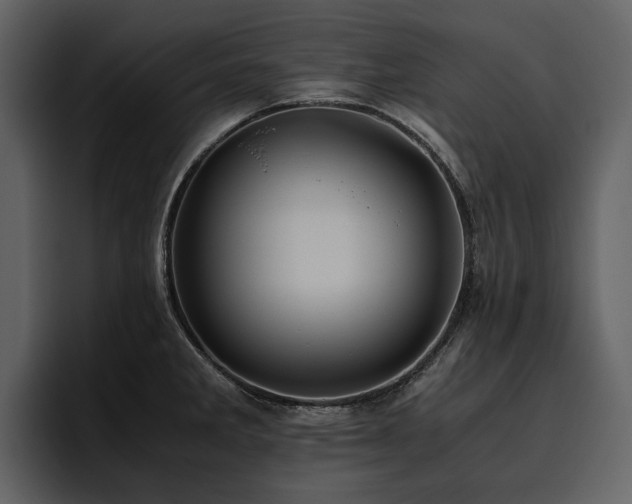 X0000095951285200801111342