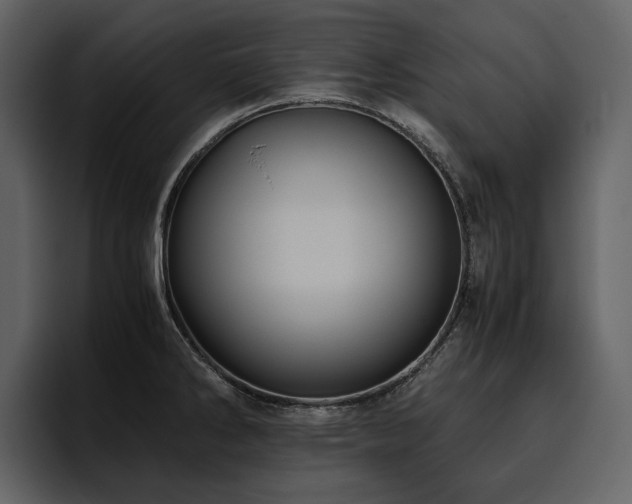 X0000095951286200801111342