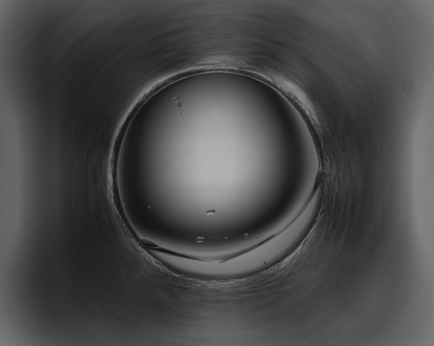 X0000095951288200801111342