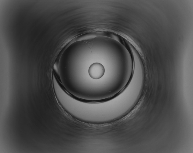 X0000095951289200801111342