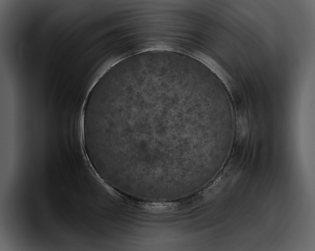 X0000095951290200801111342