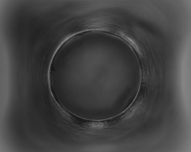 X0000095951291200801111342