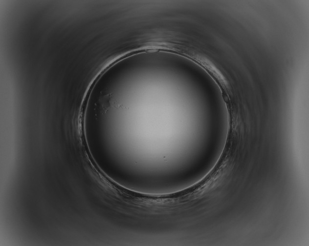 X0000095951292200801111342