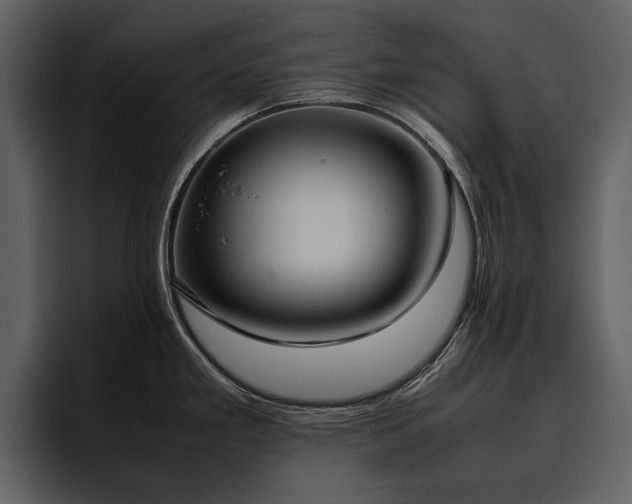 X0000095951293200801111342