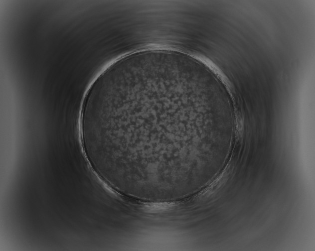 X0000095951294200801111342