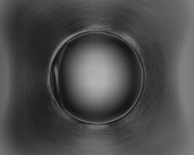 X0000095951296200801111342