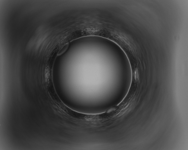 X0000095951299200801111342