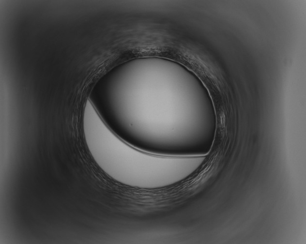 X0000095951300200801111342