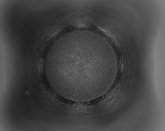X0000095951301200801111342