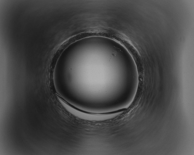 X0000095951304200801111342