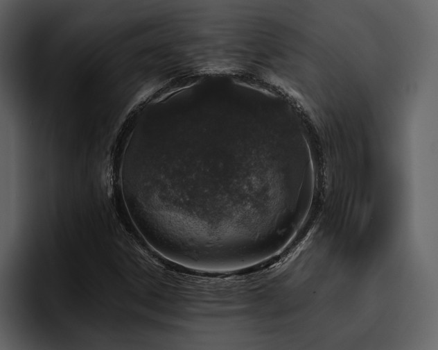 X0000095951306200801111342