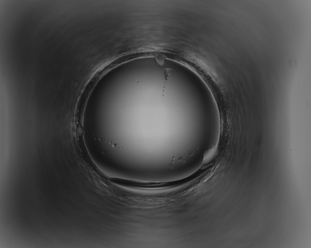 X0000095951308200801111342