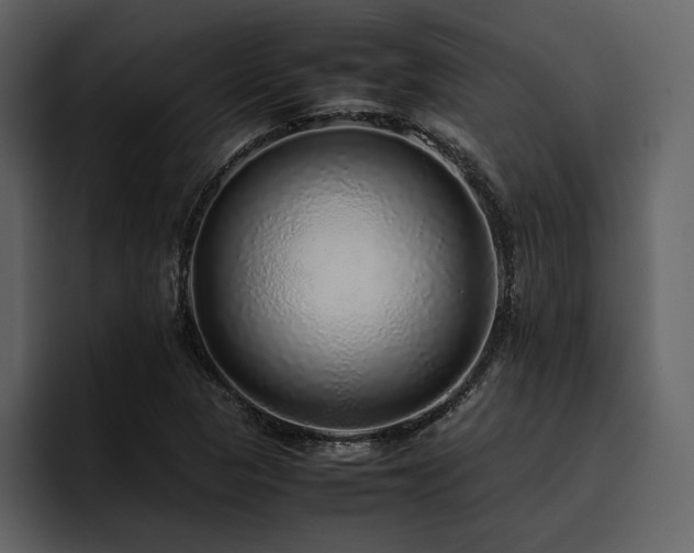 X0000095951313200801111342