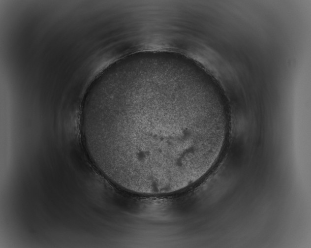 X0000095951314200801111342