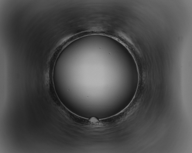 X0000095951315200801111342