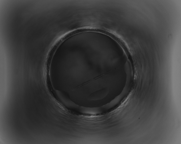 X0000095951319200801111342