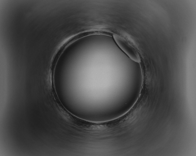 X0000095951320200801111342