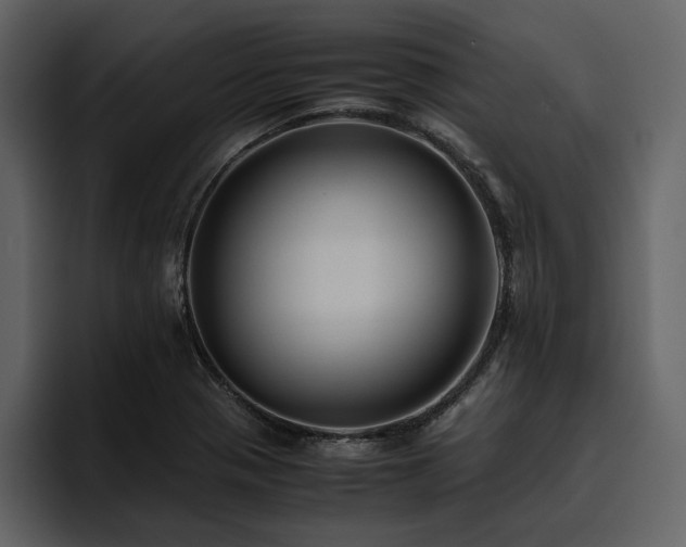 X0000095951321200801111342
