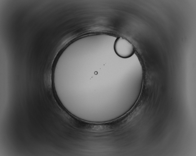 X0000095951322200801111342