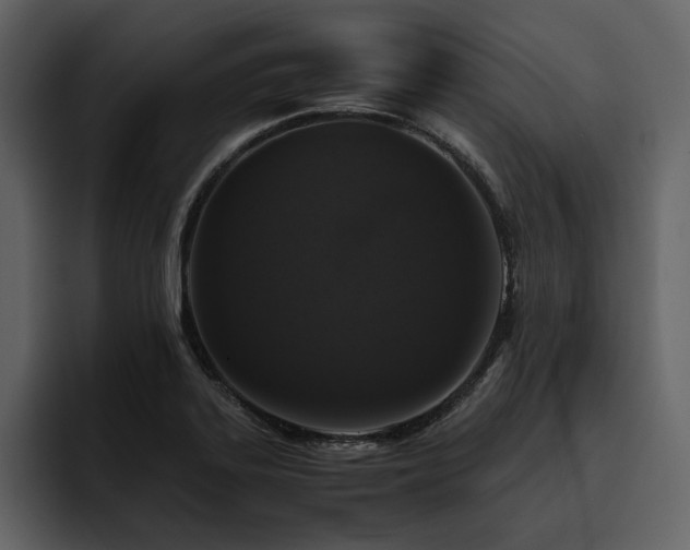 X0000095951323200801111342
