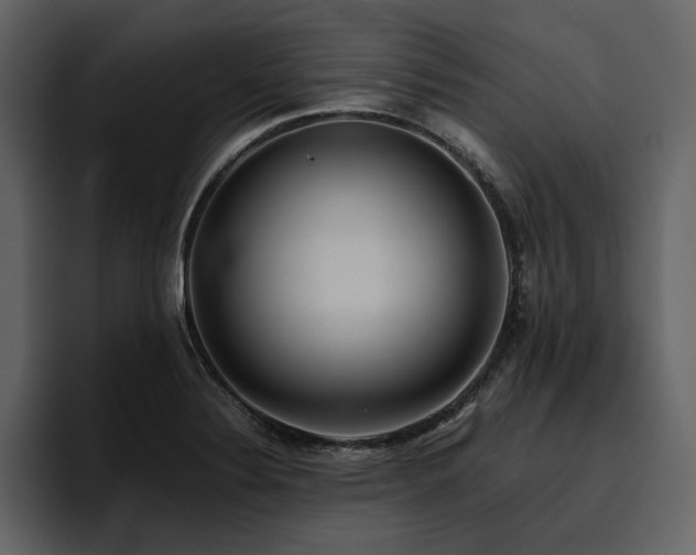 X0000095951324200801111342