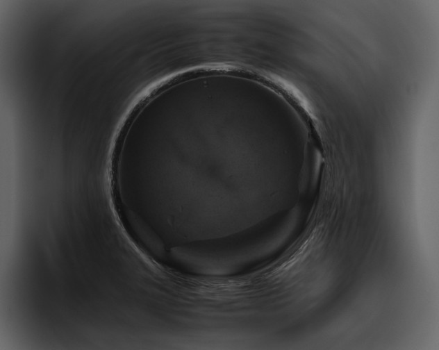 X0000095951327200801111342