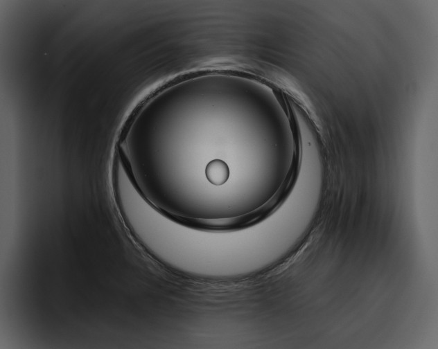 X0000095951328200801111342