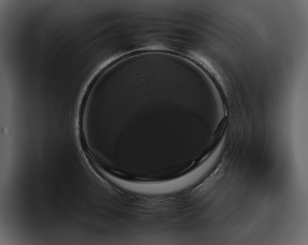 X0000095951331200801111342