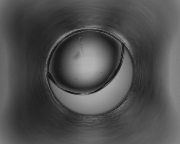 X0000095951332200801111342