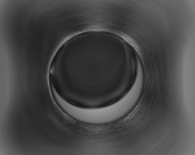 X0000095951334200801111342
