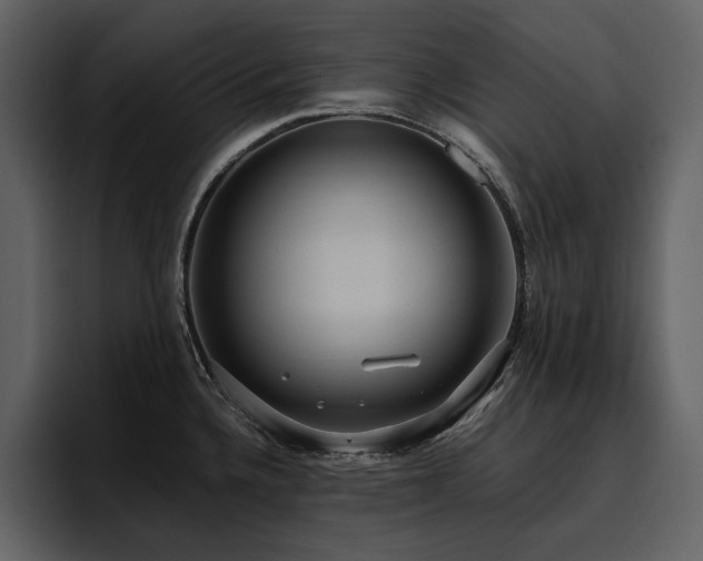 X0000095951336200801111342