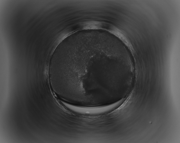 X0000095951337200801111342