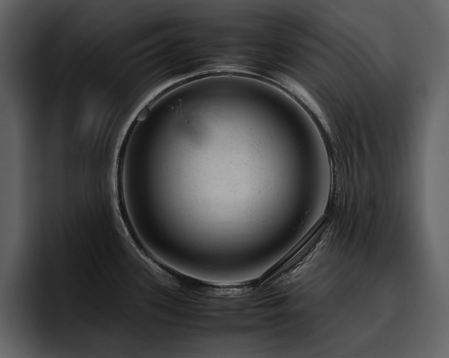 X0000095951339200801111342