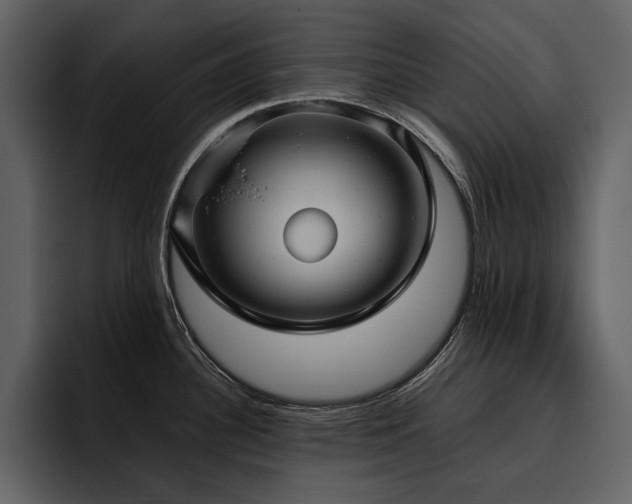 X0000095951340200801111342
