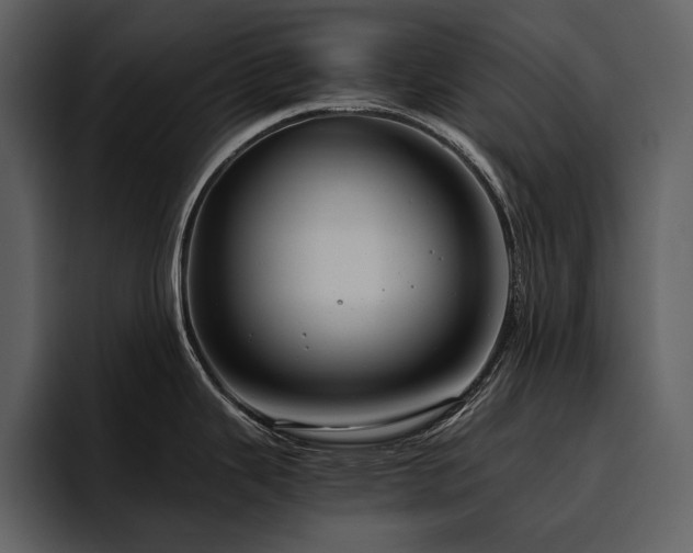 X0000095951343200801111342