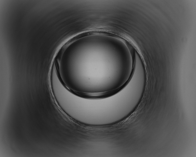 X0000095951344200801111342