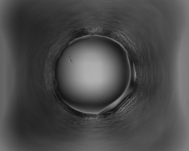 X0000095951345200801111342