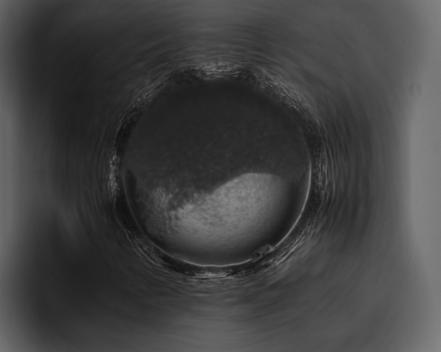 X0000095951346200801111342