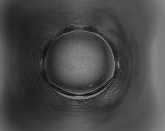X0000095951347200801111341