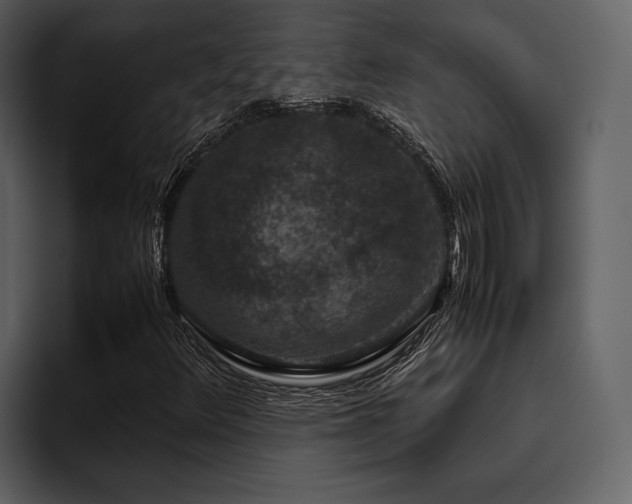 X0000095951348200801111341