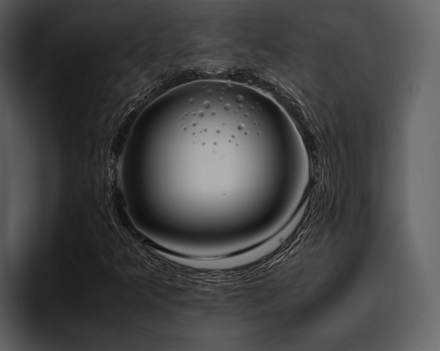 X0000095951349200801111341