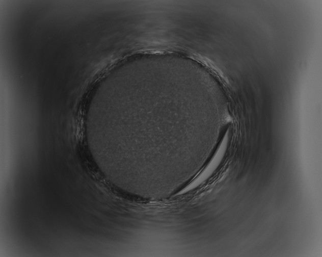 X0000095951350200801111341
