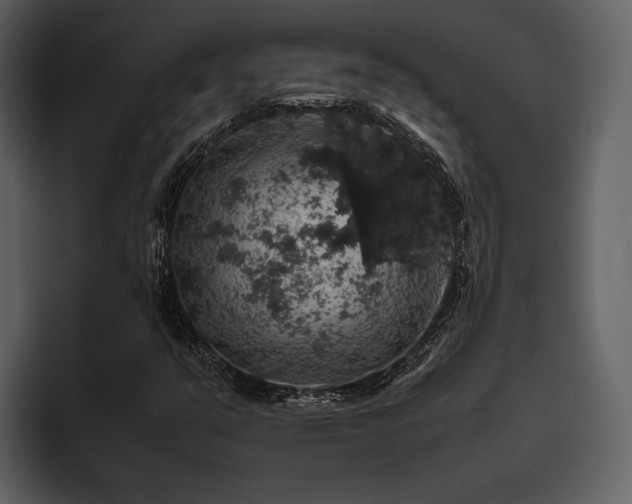 X0000095951351200801111341